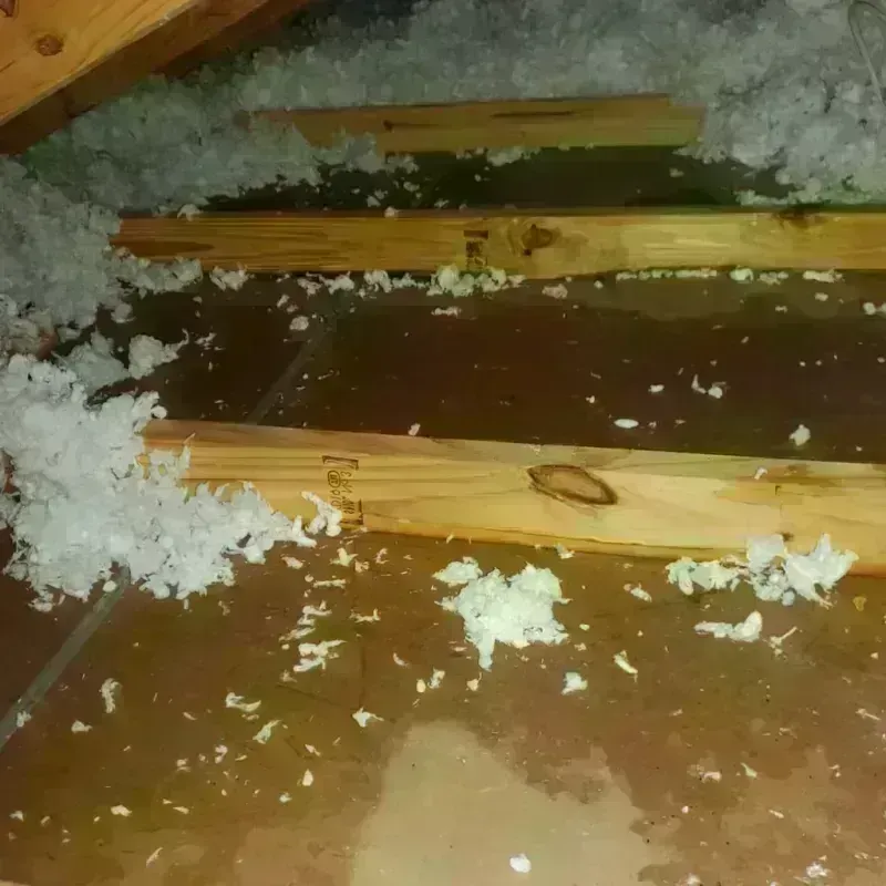 Attic Water Damage in Dooms, VA