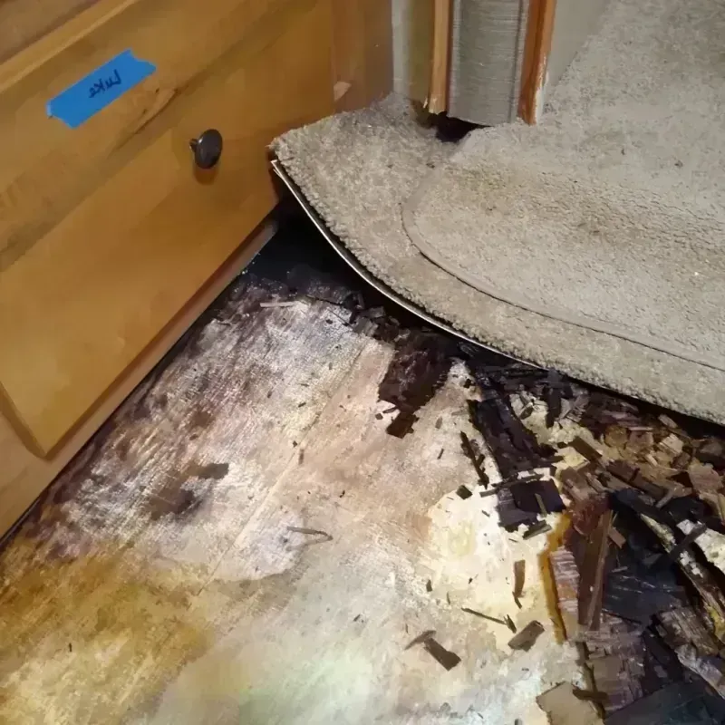 Best Wood Floor Water Damage Service in Dooms, VA